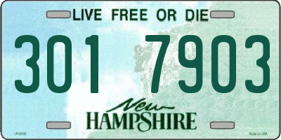 NH license plate 3017903