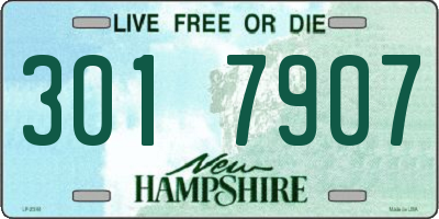 NH license plate 3017907