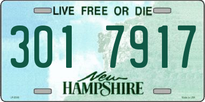 NH license plate 3017917