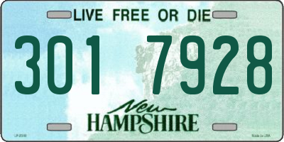 NH license plate 3017928