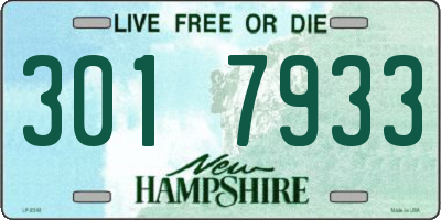 NH license plate 3017933