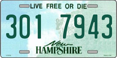 NH license plate 3017943