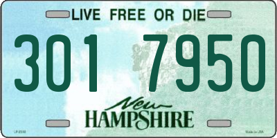 NH license plate 3017950
