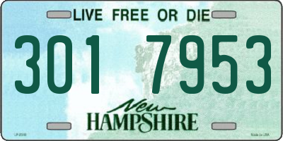 NH license plate 3017953