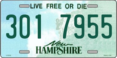 NH license plate 3017955