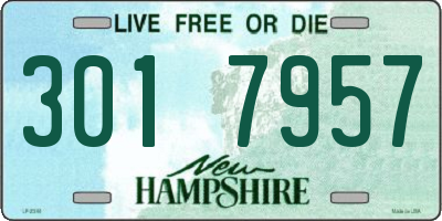 NH license plate 3017957