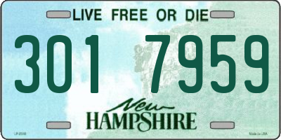 NH license plate 3017959