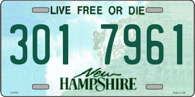 NH license plate 3017961