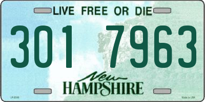 NH license plate 3017963