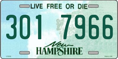 NH license plate 3017966