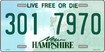 NH license plate 3017970