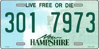 NH license plate 3017973