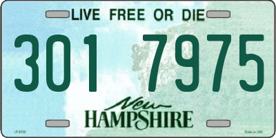 NH license plate 3017975
