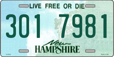 NH license plate 3017981