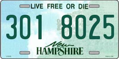 NH license plate 3018025