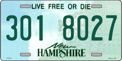 NH license plate 3018027