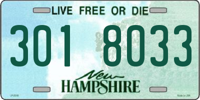NH license plate 3018033