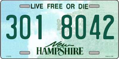 NH license plate 3018042