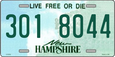 NH license plate 3018044