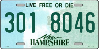 NH license plate 3018046