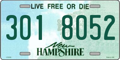 NH license plate 3018052