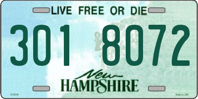 NH license plate 3018072