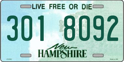 NH license plate 3018092