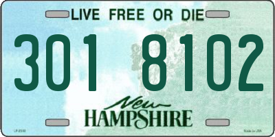NH license plate 3018102