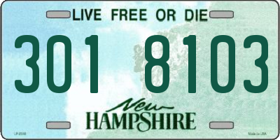 NH license plate 3018103