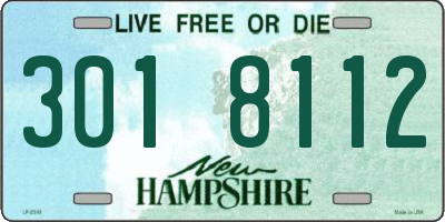 NH license plate 3018112