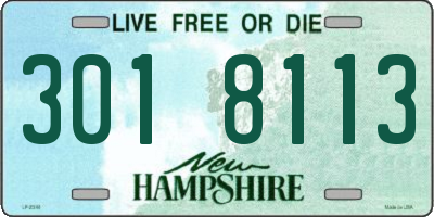 NH license plate 3018113