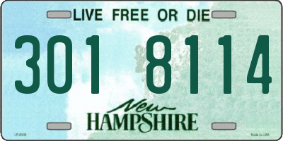 NH license plate 3018114