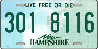 NH license plate 3018116