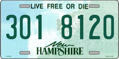 NH license plate 3018120