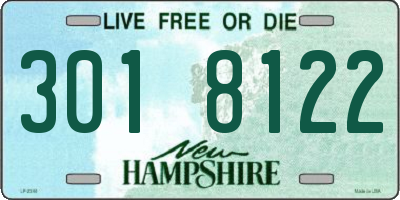 NH license plate 3018122