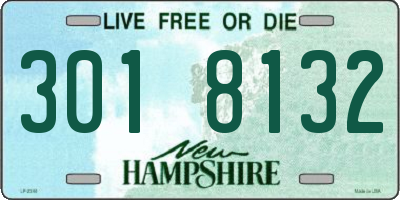 NH license plate 3018132
