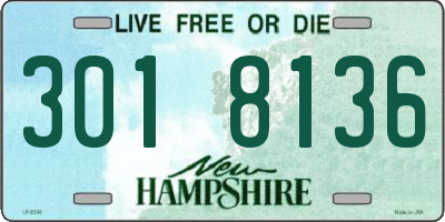 NH license plate 3018136