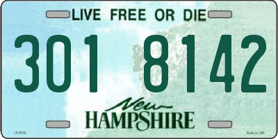 NH license plate 3018142