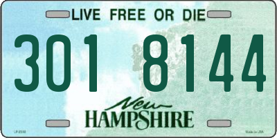 NH license plate 3018144