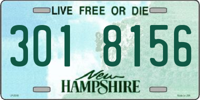 NH license plate 3018156