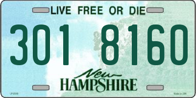 NH license plate 3018160
