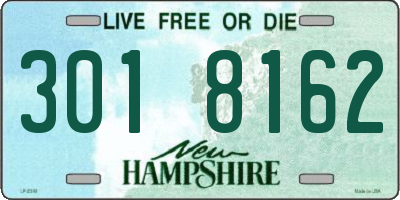 NH license plate 3018162