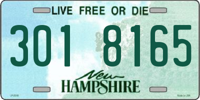 NH license plate 3018165