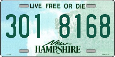 NH license plate 3018168