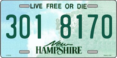 NH license plate 3018170