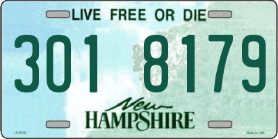 NH license plate 3018179