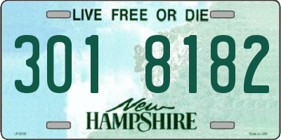 NH license plate 3018182