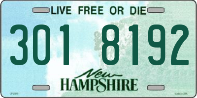 NH license plate 3018192