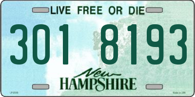NH license plate 3018193
