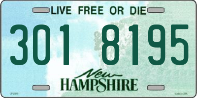 NH license plate 3018195